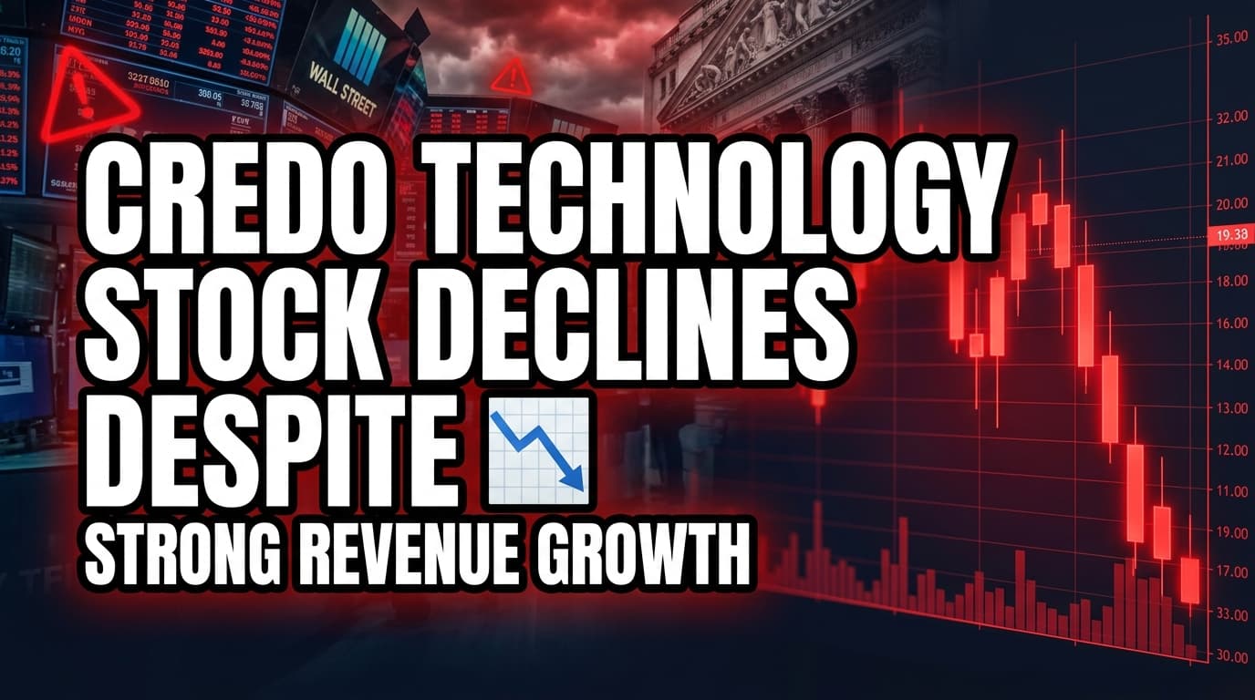 Credo Technology Stock Declines Despite Strong Revenue Growth