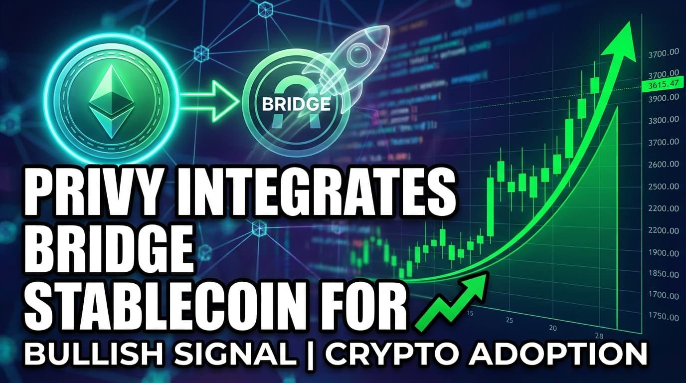 Privy Integrates Bridge Stablecoin for Fiat Deposits and Payouts