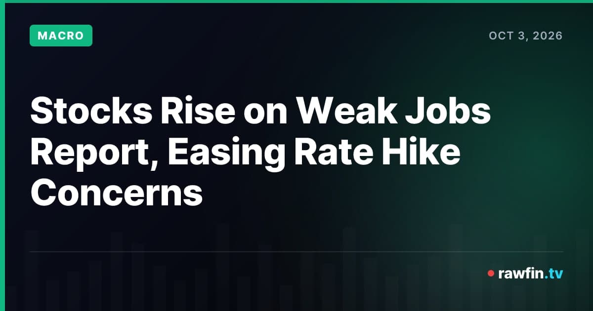 Stocks Rise on Weak Jobs Report, Easing Rate Hike Concerns