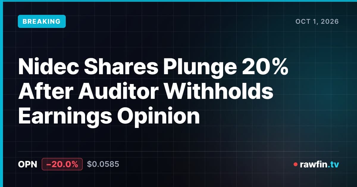Nidec Shares Plunge 20% After Auditor Withholds Earnings Opinion