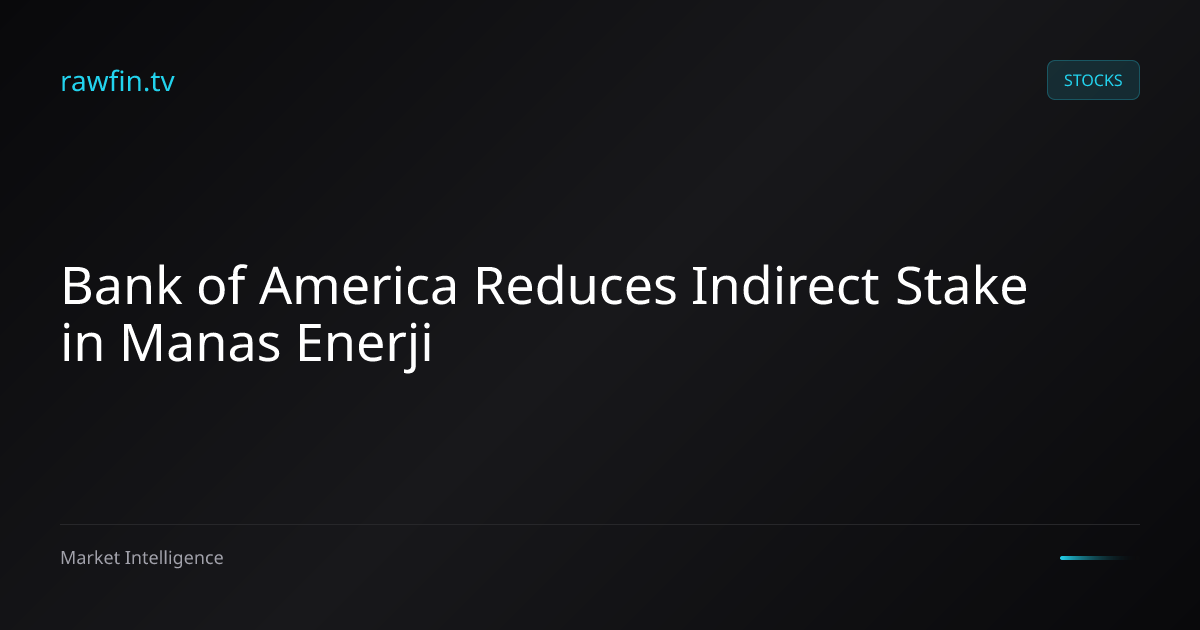 Bank of America Reduces Indirect Stake in Manas Enerji